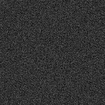 grain